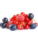 나무온누리약국 이미지