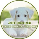 어울림동물메디컬센터 이미지