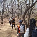 ＜서울 둘레길 100인 원정대＞ 4차 후기 - 일자산, 성내, 장지, 탄천 코스 이미지