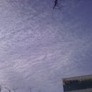 이레약국 이미지