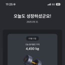 플랜핏 이미지