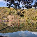 입곡공원 아라힐링카페 | 입곡 군립 공원 / 단풍 명소 / 출렁다리 /아라힐링트레킹길 / 아라힐링카페 / 온새미로 공원 / 입곡...