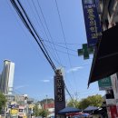 무화미트 - 34206 | 대구 땅콩빵 관문시장 맛집 '무화광장' 솔직 후기