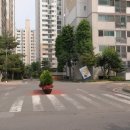 금파초병설유치원 이미지