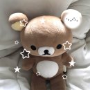 236 | 대전 쌍촌본가 본점 갈비찜 맛집 내돈내산 솔직후기 (feat. 다람쥐)
