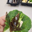포항 구룡포과메기 야채세트 택배 먹방후기 :: 꼬시래기(해초)는 필수
