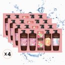 엘지생활건강 | 엘지생활건강 정성담은 샴푸 바디 프리미엄 선물세트, 풍성한 구성과 품질 비교