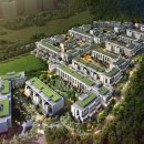 스테이도란 이미지