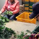 파파브런치 이미지