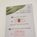 올가드림뷰티강일점