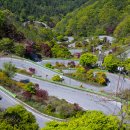 양수바이크 이미지