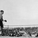 챔피언농장 이미지