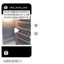 엔딩은 마치 승리한 것처럼
