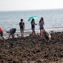 바람아래해수욕장 이미지