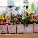 대아초등학교병설유치원 이미지