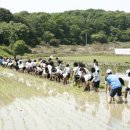 초록지기마을 이미지