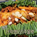 강한남자 장작구이 | 평촌) 더덕 생오리주물럭 - 강한남자 장작구이, 내돈내산