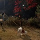 굿셀하우스 이미지