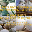 연자연 이미지
