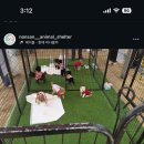 논산 딸기강쥐들 같이봐줘🍓🍓🍓🍓🍓🍓🍓🐶🐶🐶🐶🐶🐶ㅠ진짜 너무너무귀여워🐕🐕 이미지