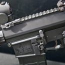 Knights SR-25 EMC: SR-25 Build custom 이미지