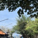 호텔진(ZIN) | [발리] 진짱구 리조트 앤 빌라