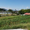 인삼공인중개사사무소 이미지