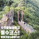☕ 수주팔봉카페 &amp; 출렁다리 도보코스 후기! 차박 후 감성충전 산책길 추천 🚶‍♀️