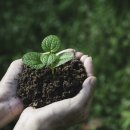 세계자원환경 이미지