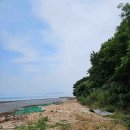영흥도 노가리해변 해식동굴 다녀온 후기