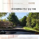 소풍농월 | 파주 데이트 코스 추천! &#39;소풍농월&#39; 대형카페에서 분위기 만끽 (feat. 달콤한 빵 &amp; 팁 대공개!)