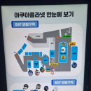 아쿠아플라넷 광교 | 광교 갤러리아 아쿠아플라넷 아쿠아리움 총정리 ! : 수원 광교 아이랑 실내 갈만한 곳