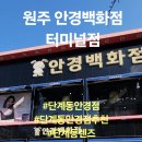 안경백화점 터미널점 이미지