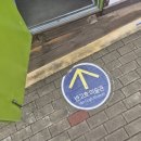 트릭아이미술관 주식회사 | 안면도 아이와 가볼만한 곳 추천! 오마이갤러리 트릭아트 방문기