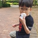 소아 근시 완화용 안경렌즈 어린이 안경테 무료 파주 아이데코안경 10주년 통큰세일