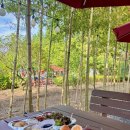 잉어물놀이 | 아산 피나클랜드 여름정원 물놀이축제 아이와 방문 후기