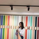 모터스라인 이미지