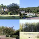 진주여자고등학교 이미지