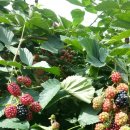 원희농장 이미지