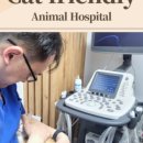 대치동물메디컬센터 이미지