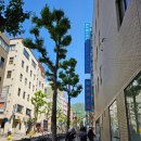 일본 오사카 고베 교토 4박 5일 여행기록 2일차 part1 (우메다에서 고베, 고베 스테이크랜드, 고베...
