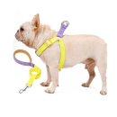 몽슈슈 강아지 이미지