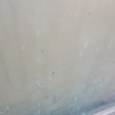 포항한사랑약국 이미지