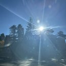 엘크사슴 | 여행, YMCA of the Rockies - Estes Park Family Resort and Cabins 숙박 후기, 엘크와 사슴이 가득한 숙소