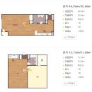 제니텔 이미지