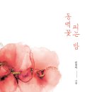 김경미