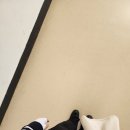 버스정류장_한국농어촌공사_1 | [25-하] 한국농어촌공사 5급 기전(전기) 서류합격 + 필기 후기