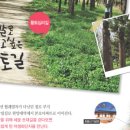 상록직업소개소 이미지