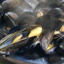 해성수산 이미지