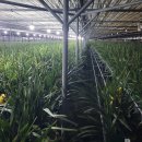 김재형농장 이미지